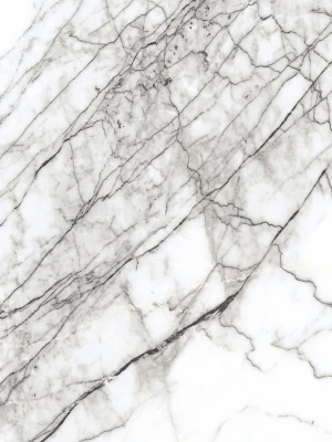 Glancētas flīzes CARRARA INFINITY MARBLE, 60x60 cm, AM